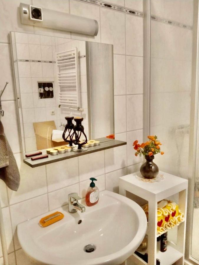 Ferienzimmer Healing Und Montuerwohnung Weißenfels Buitenkant foto