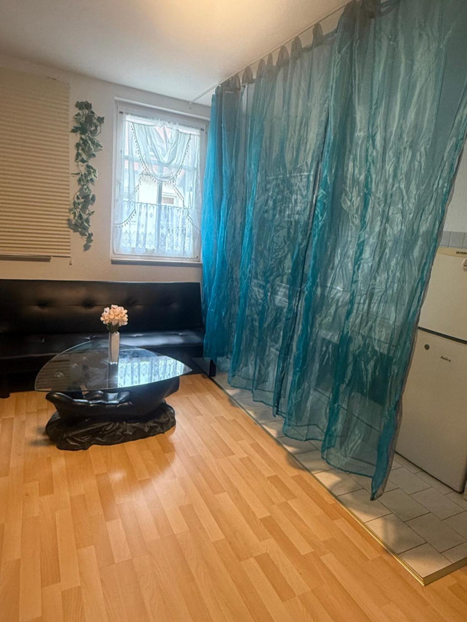 Ferienzimmer Healing Und Montuerwohnung Weißenfels Buitenkant foto