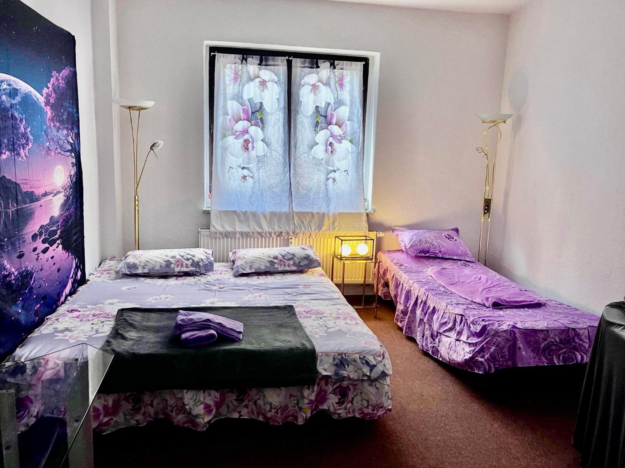 Ferienzimmer Healing Und Montuerwohnung Weißenfels Buitenkant foto