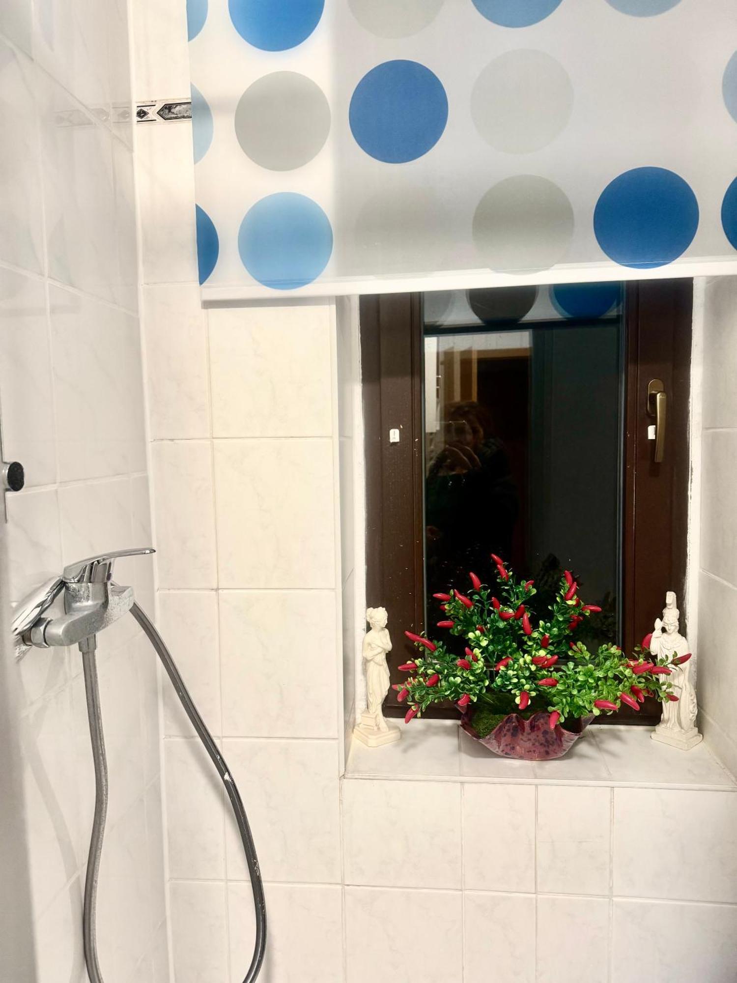 Ferienzimmer Healing Und Montuerwohnung Weißenfels Buitenkant foto