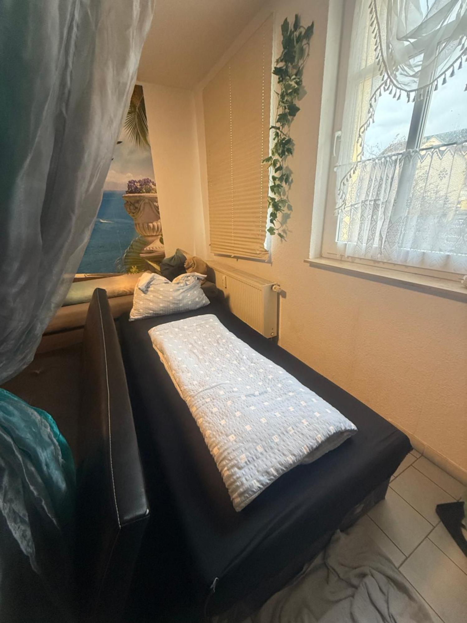 Ferienzimmer Healing Und Montuerwohnung Weißenfels Buitenkant foto