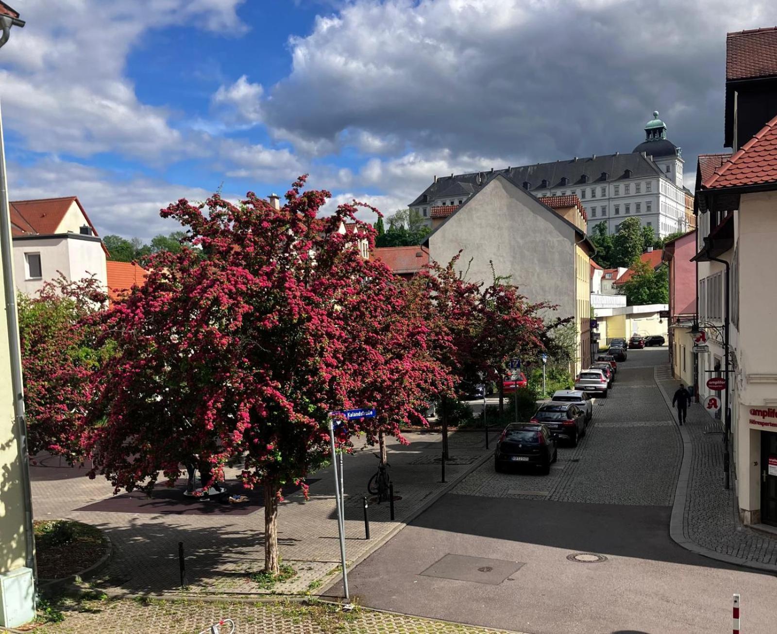 Ferienzimmer Healing Und Montuerwohnung Weißenfels Buitenkant foto